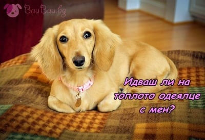 Да не спиш самичък - безценно!