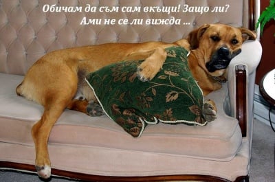 Да се чувстваш като у дома си