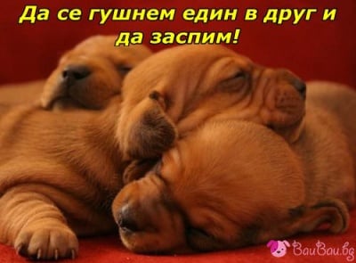 Така се спинка най - добре