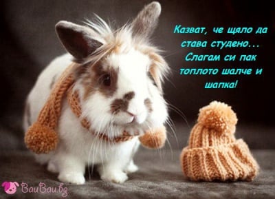 Да се подготвим за студа навън!