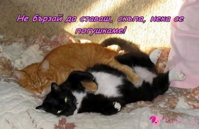 "Да се погушкаме в леглото"