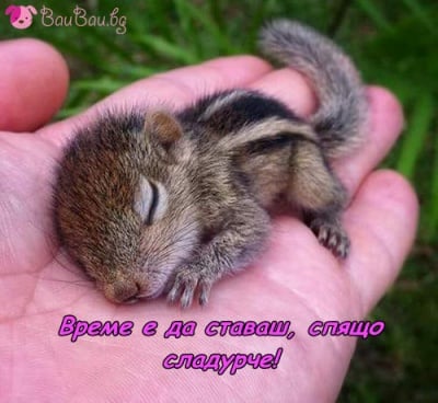 Да се събудиш в сигурни ръце