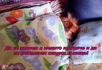 Хайде по леглата!