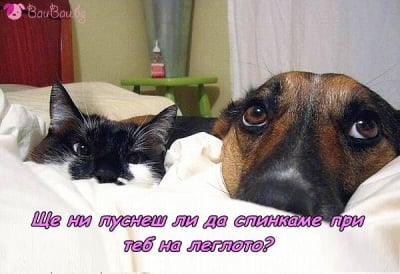 Поглед, който разтапя сърцата