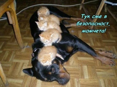 Да спинкаш на сигурно място