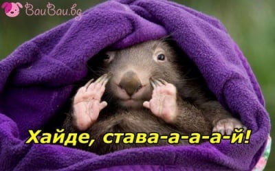 Който спал, спал ...