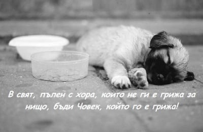 Да те е грижа за другите същества