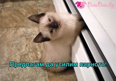 "Не се отлепям от тук!"