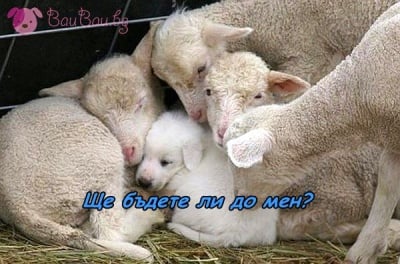 Да заспим заедно