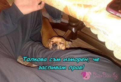 Да заспиш прав ...