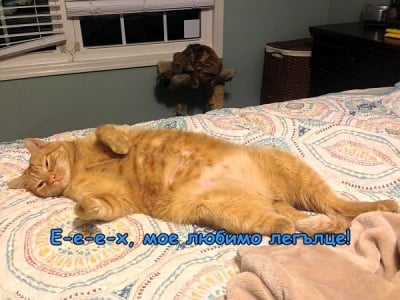 Да заспиш с наслада