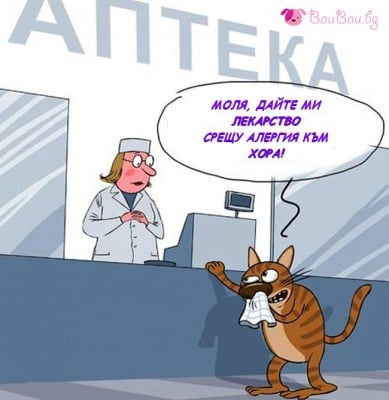 "Дайте ми лекарство срещу алергия към хора!"