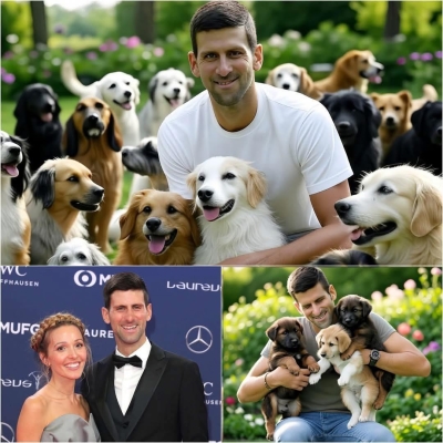 Новак Джокович – шампион не само на корта, но и в сърцето