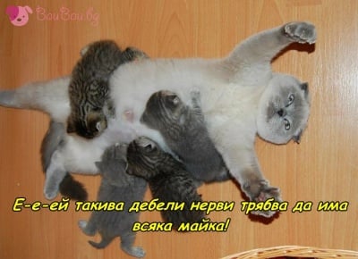 Да бъдеш мама