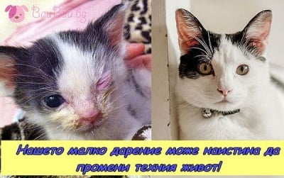 19 октомври - Ден на благотворителността