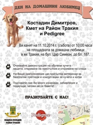 Безплатни консултации с ветеринар, игри и подаръци в Деня на домашния любимец в Тракия, Пловдив