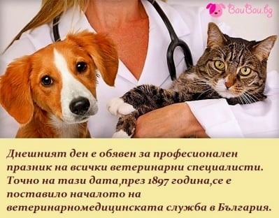 14 Декември - Ден на Ветеринаря