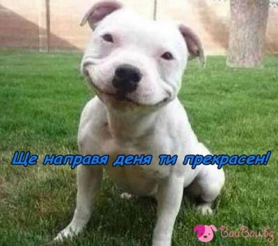 За един прекрасен ден