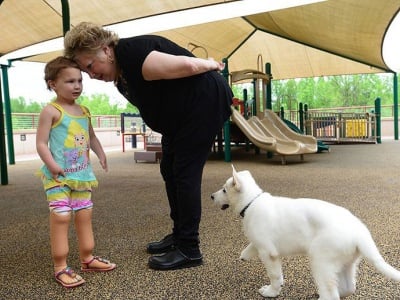 Дете и куче без крачета