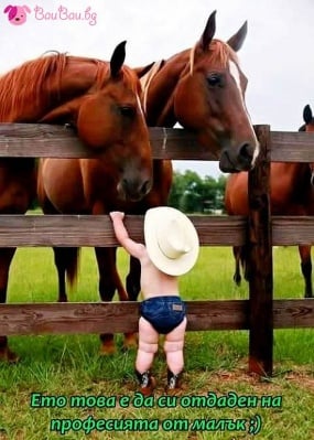 Каубой джуниър