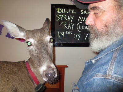 Дили и Стив Бутера