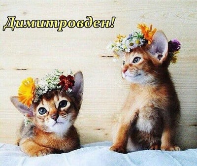 Днес е празник!