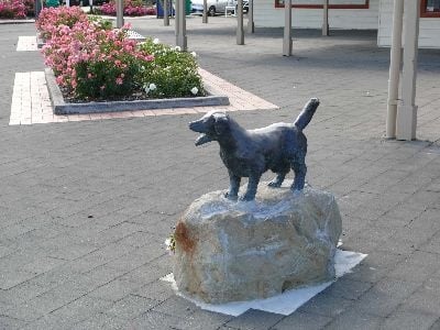 Джак Ръсел териер спасява деца