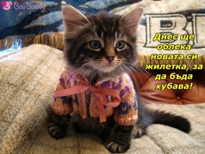 Отива ли ми?