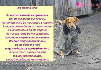 Обет към кучето ми