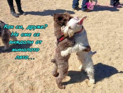 Добра среща