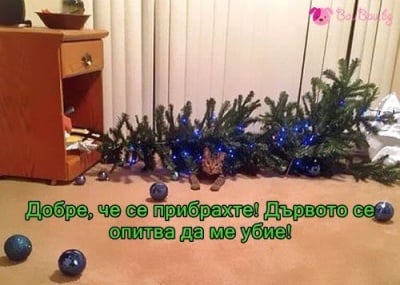 Невинен до доказване на противното