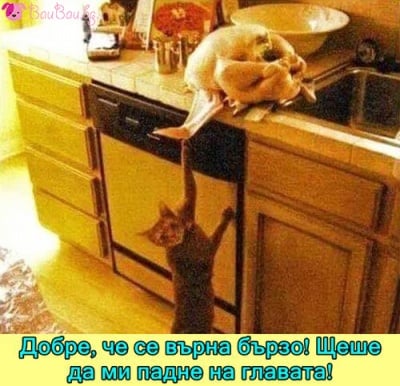 "Добре, че се върна бързо... Щеше да ми падне на главата!"