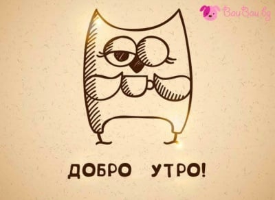 "Хайде, совички, събудете се, пак ли будувахте до късно!"