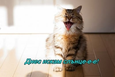 "Добро утро, нов ден!"