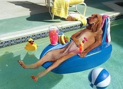 Ергенски живот си живее