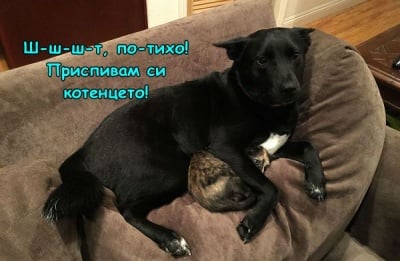 Грижовна мама