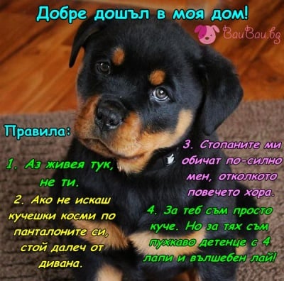 Домакин на своя дом