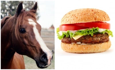 Скандала с конското месо се разраства:  ДНК-тестове за телешките продукти