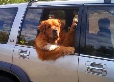 "Накъде да карам за морето?"