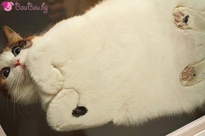 Различната гледна точка