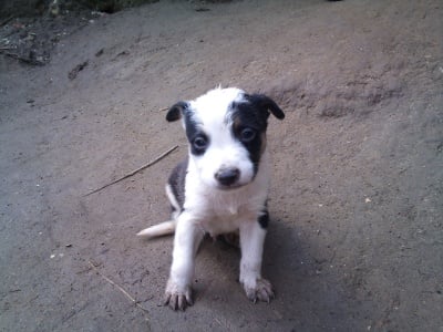 Моят малък Арес!