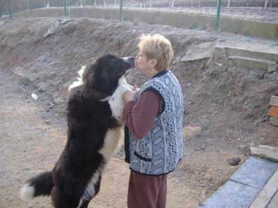 Каракачанка