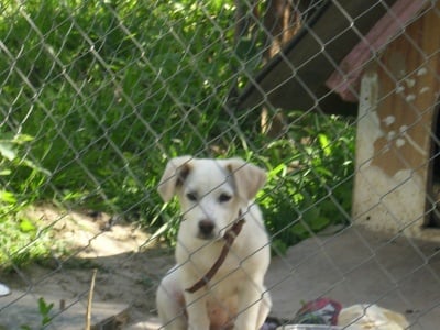 Плажна история