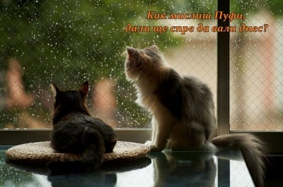 Ще спре ли да вали ... няма ли да спре?