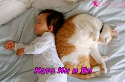 "Допълваме се идеално!"