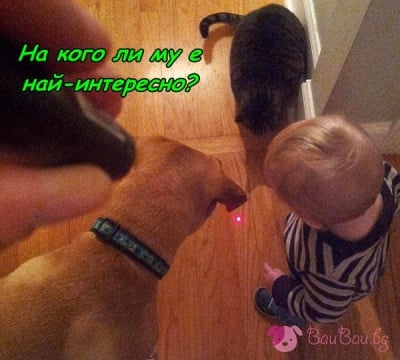 Една незабравима игра