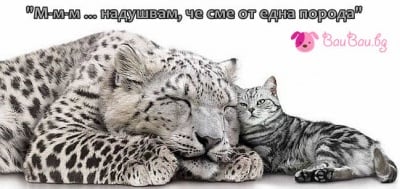 От една порода