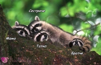 Едно задружно семейство ни пожелава "Лека нощ"