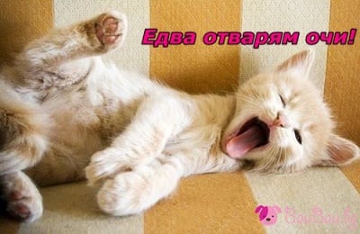 "Събуждането ми е трудно!"