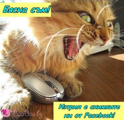 Ех, тези социални мрежи!